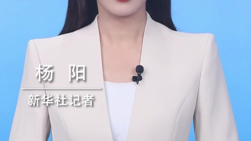 网络安全防护体系如何构建：全方位策略解析